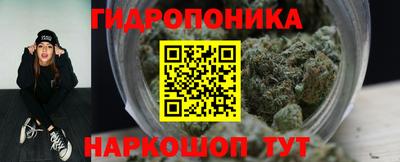 PSILOCYBIN Заволжье